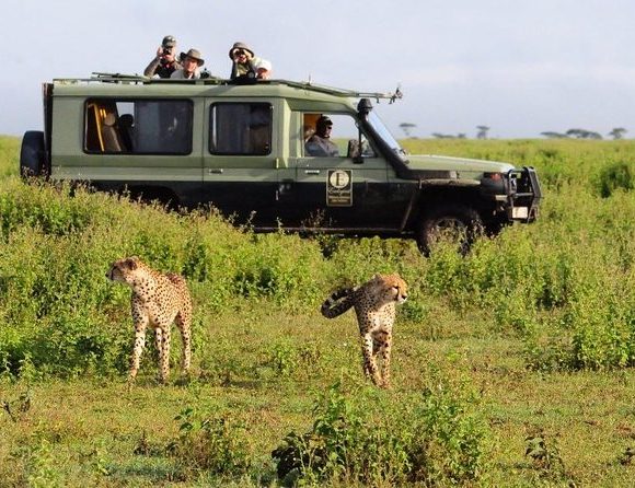 Arusha Nation Park -Day Trip