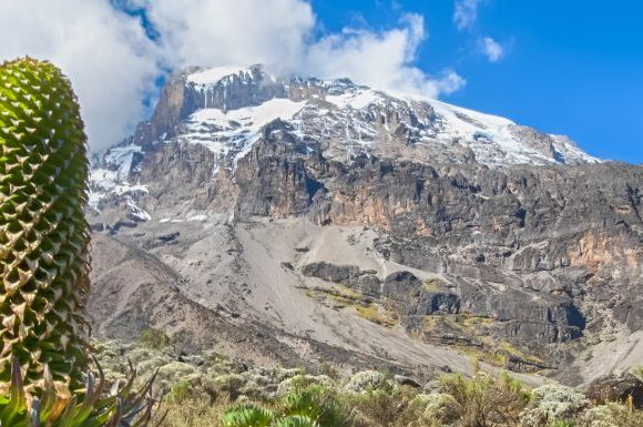 11 days Kilimanjaro Climb Via Northern Circuit Route