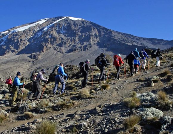 11 Days Kilimanjaro Zanzibar