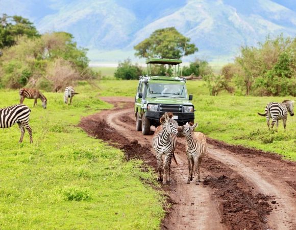 6 Days Tanzania Safari