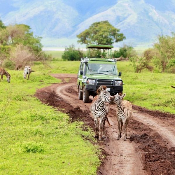 6 Days Tanzania Safari