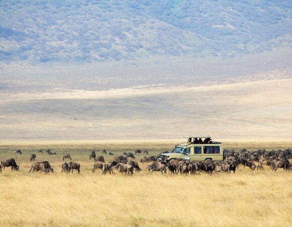 Best time to see the Great Migration In Serengeti