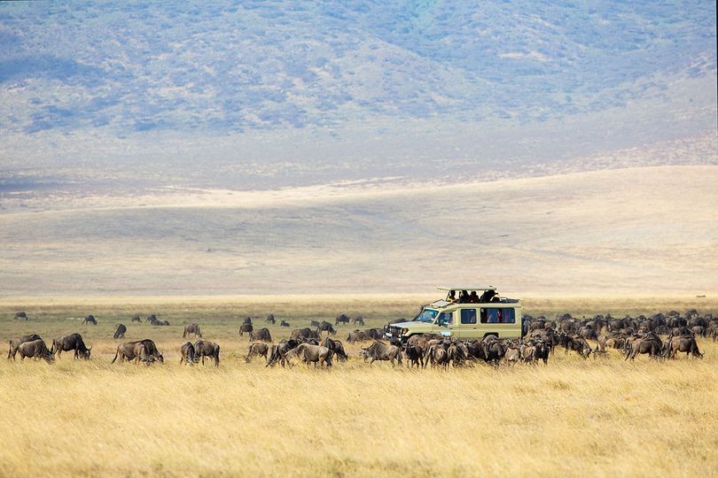 Best time to see the Great Migration In Serengeti